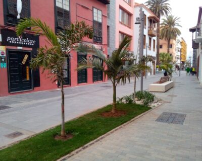 Dirección Facultativa de las obras comprendidas en el Proyecto de «Mejora y acondicionamiento de la calle San Juan, calle Iriarte y Plaza Concejil»